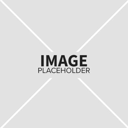 Image of Officer Pin